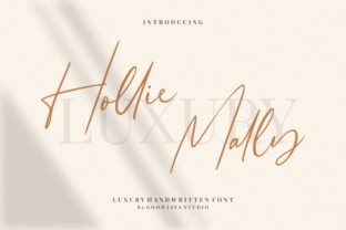 Enhance Your Brand with Hollie Mally Font