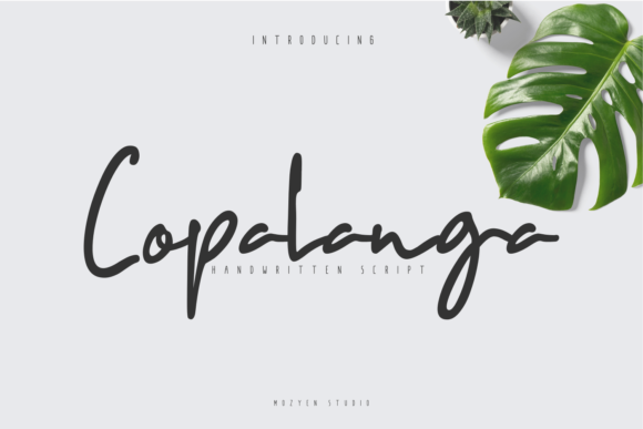 Enhance Your Campaigns with Copalanga: A Charming Script Font