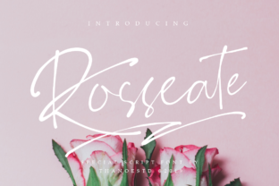 How Rosseate Can Elevate Your Brand's Visual Identity